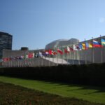 Important Progress Made Towards Ocean Treaty