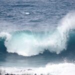 El Mundo Comienza a Dar Forma a un Tratado para Proteger los Océanos
