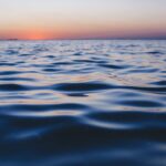 High Seas Alliance Reaction to G7 Leaders’ Annual Summit Communiqué