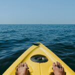 High Seas Alliance Newsletter – Spring 2020