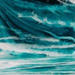 High Seas Protection Webinar – EarthX Conference 2020