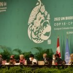 REACTION: COP15 OUTCOME RECOGNISES THE IMPORTANCE OF BLUE NATURE