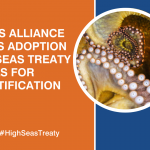 High Seas Alliance Applauds Adoption of High Seas Treaty and Calls for Swift Ratification