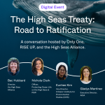 The High Seas Treaty: Road to Ratification