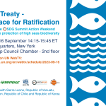 BBNJ Treaty – The Race For Ratification