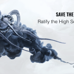 High Seas Alliance Applauds Countries Joining the High Seas Treaty ‘Race For Ratification’