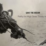 Belize becomes the First Caribbean Nation to Ratify the High Seas Treaty