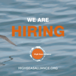 Join the High Seas Alliance: New Exciting Opportunity to Join the Team