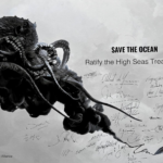 EU’s Approval to Ratify the High Seas Treaty: 101 Explainer