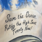 High Seas Alliance at ‘Immersed in Change’, Costa Rica.