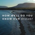 New ocean series launched
