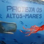 Raising awareness among Brazilians on the importance of the High Seas
