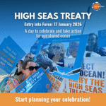The High Seas Treaty’s entry into force is approaching: Let’s make this a Global Day of Action