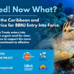 Online Workshop: Preparing the Caribbean and Latin America for BBNJ Entry Into Force