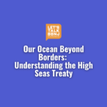 Our Ocean Beyond Borders: Understanding the High Seas Treaty