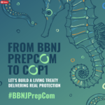From Treaty to Action: Bringing the High Seas Treaty to life at the third BBNJ PrepCom