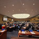 Progress made, but critical gaps remain as High Seas Treaty PrepCom Talks Conclude